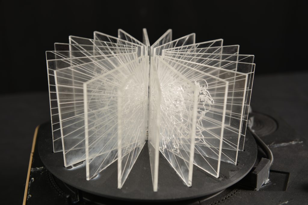 View of the device 1